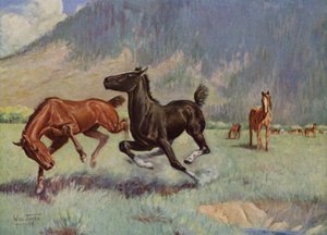 Smoky le cheval de vache